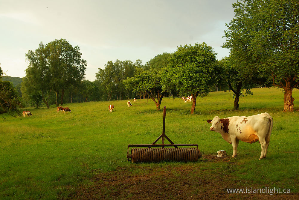 Landscape  photo from  Aillevillers, Haute-Saone France.
