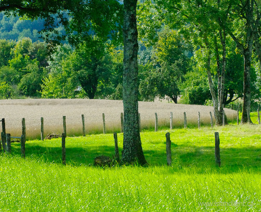 Landscape  photo from  Aillevillers, Haute-Saone France.