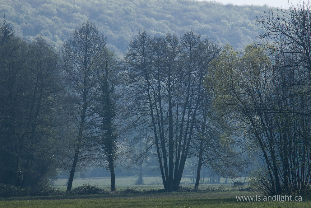 Landscape photo from  Aillevillers,  France.