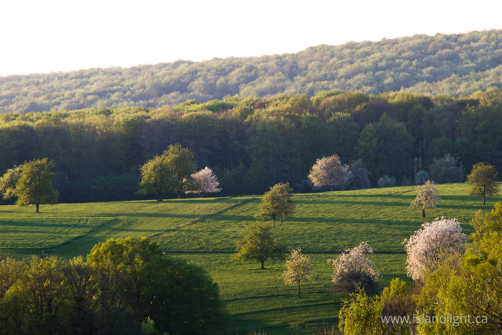 Landscape photo from  Aillevillers, Haute-Saone France.