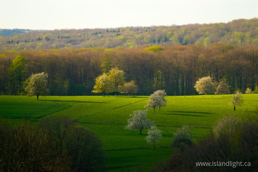 Landscape  photo from  Aillevillers, Haute-Saone France.