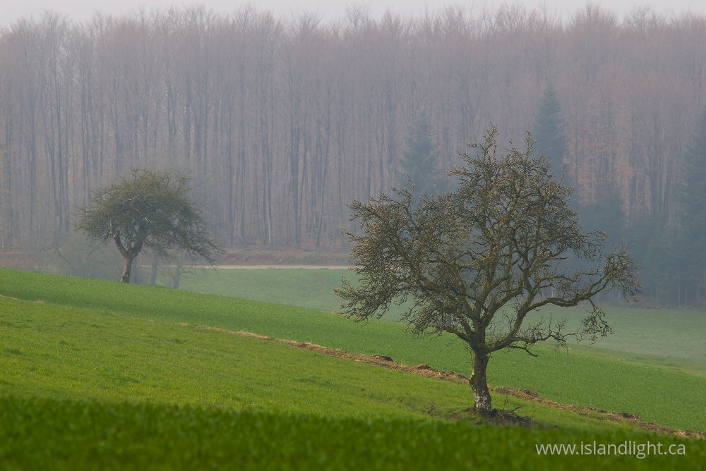 Landscape  photo from  Aillevillers, Haute-Saone France.