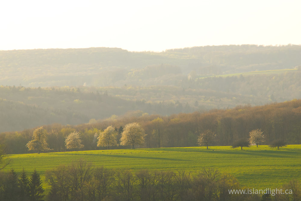 Landscape  photo from  Aillevillers, Haute-Saone France.