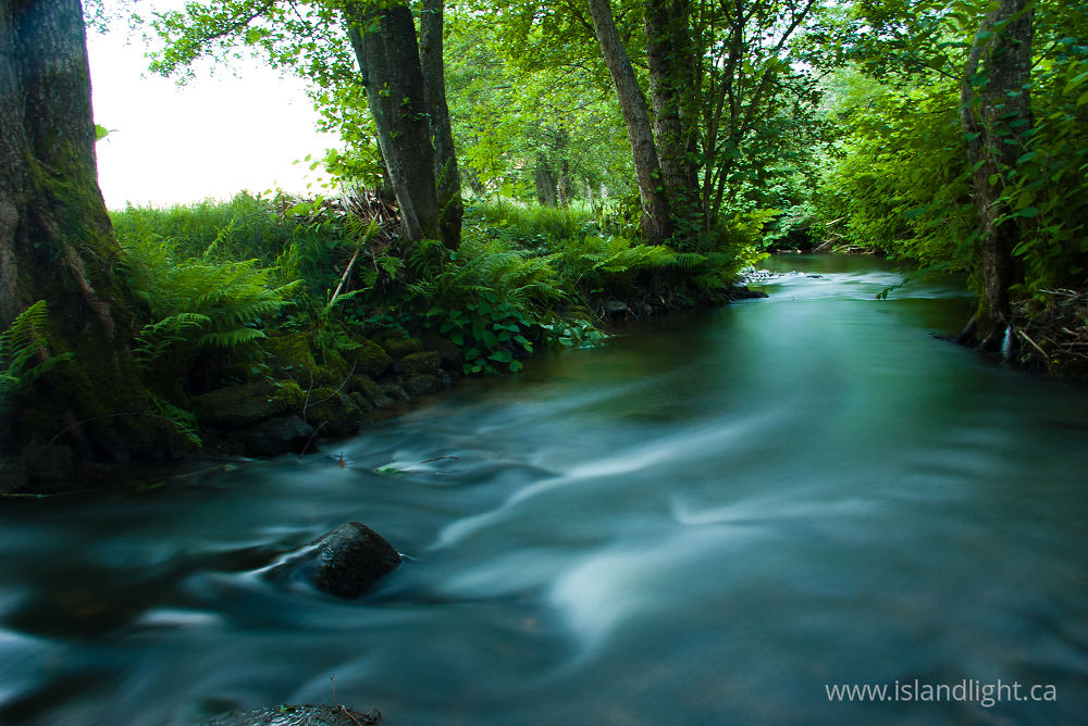 Landscape photo from La Auberonne Aillevillers,  France.