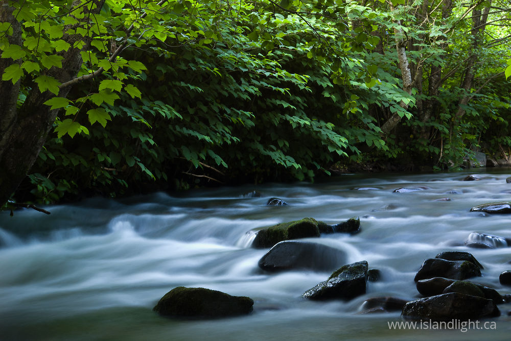 Landscape photo from  Aillevillers, Haute-Saone France.