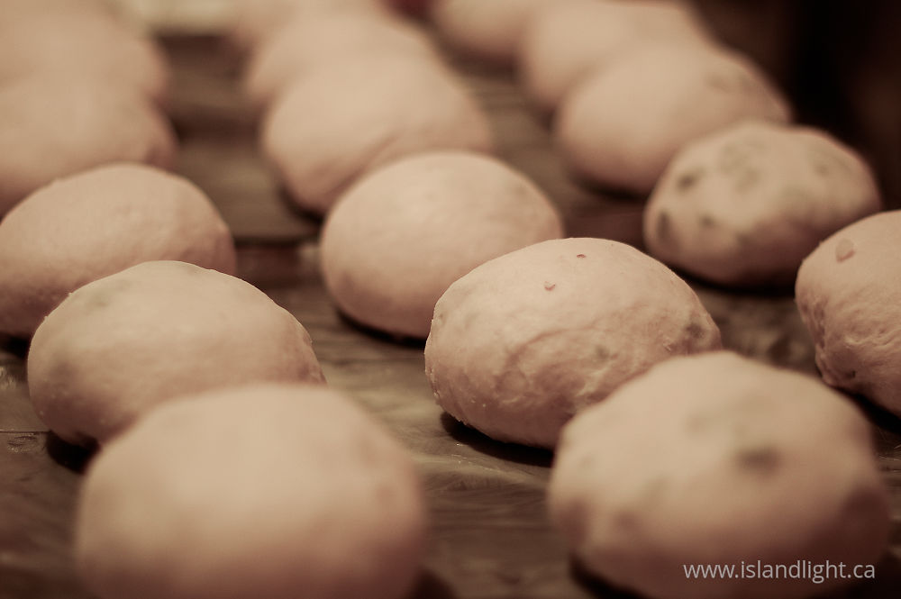 Food photo from  Cortes Island, BC Canada.