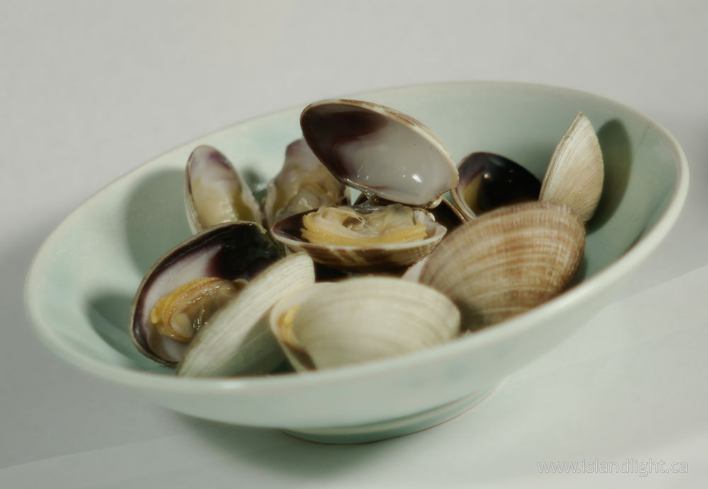 Food  photo from  Cortes Island, BC Canada.