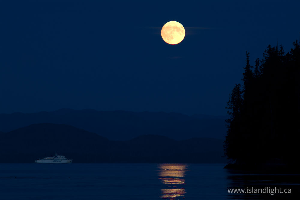 Boating  photo from Safety Cove Calvert Island, BC Canada.
