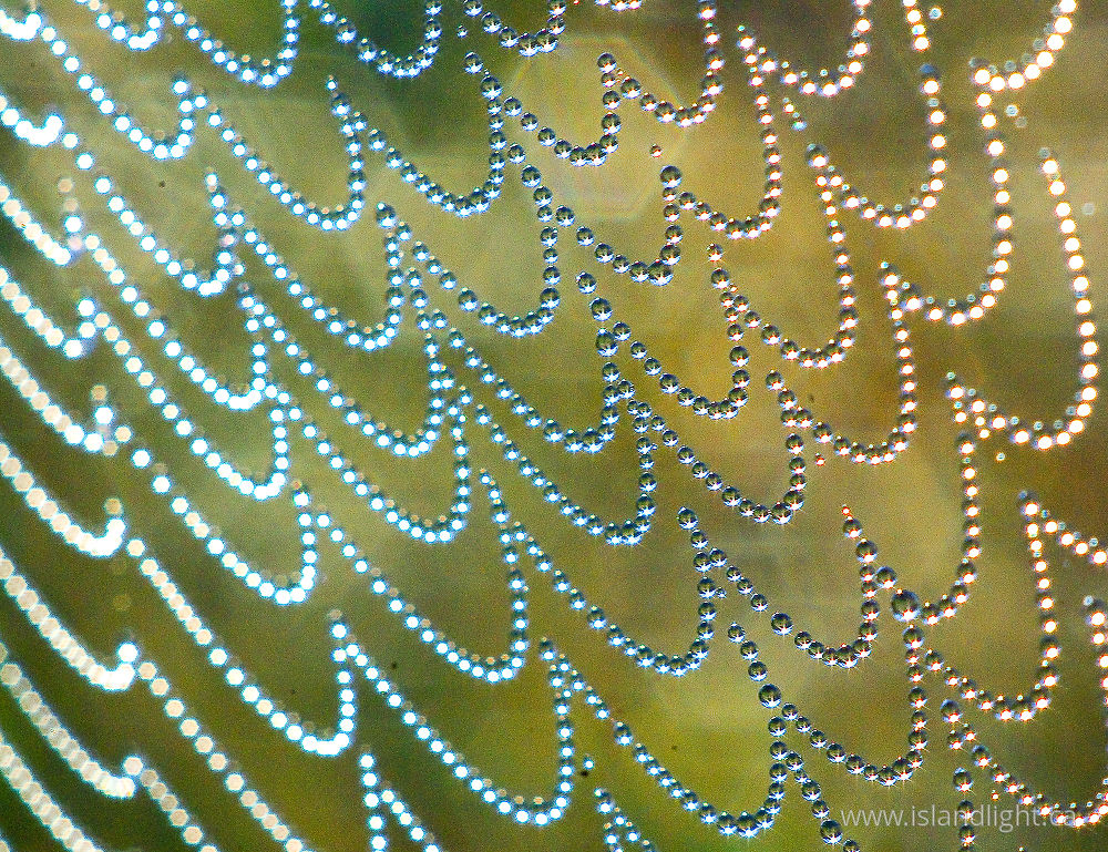 Other photo from  Cortes Island, BC Canada.