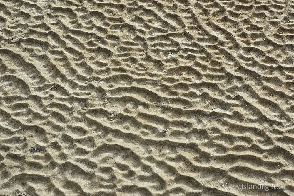 Other  photo from  Cortes Island, BC Canada.