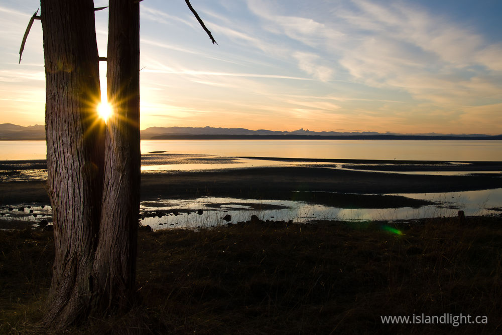 Landscape photo from Smelt Bay Cortes Island, BC Canada.