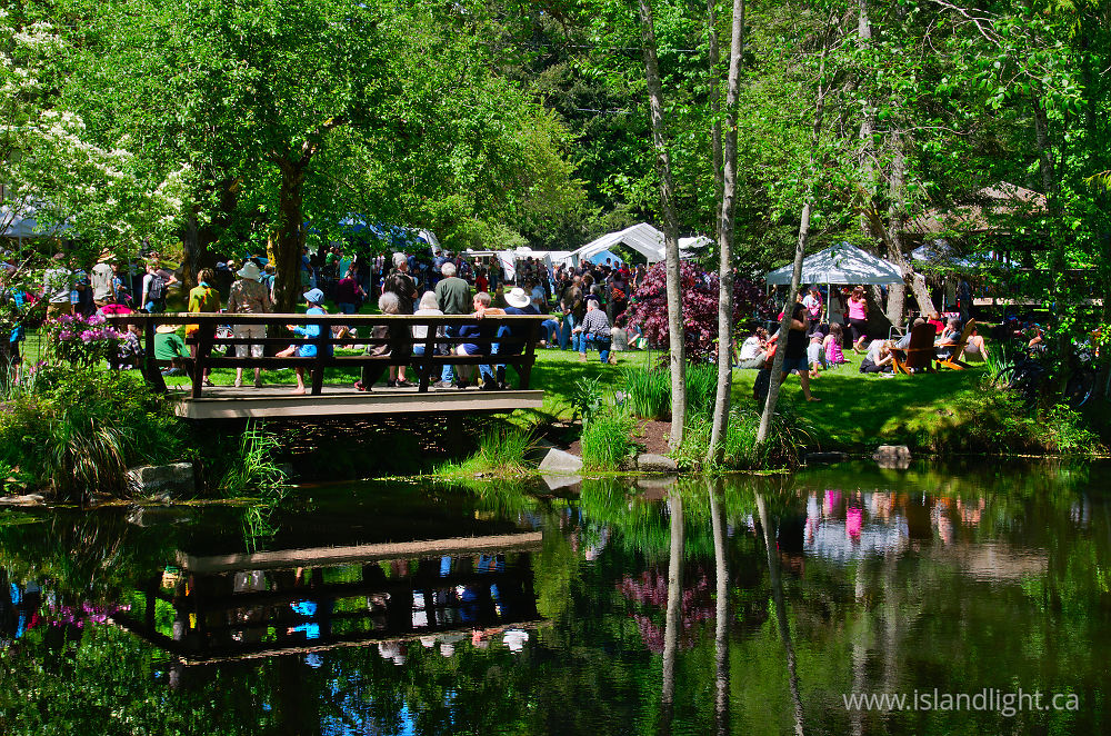 Landscape  photo from  Cortes Island, British Columbia Canada.