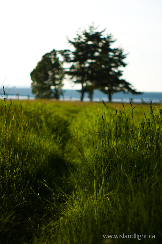 Landscape  photo from  Cortes Island, BC Canada.