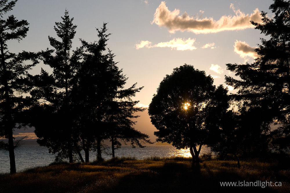 Landscape  photo from Smelt Bay Cortes Island, BC Canada.
