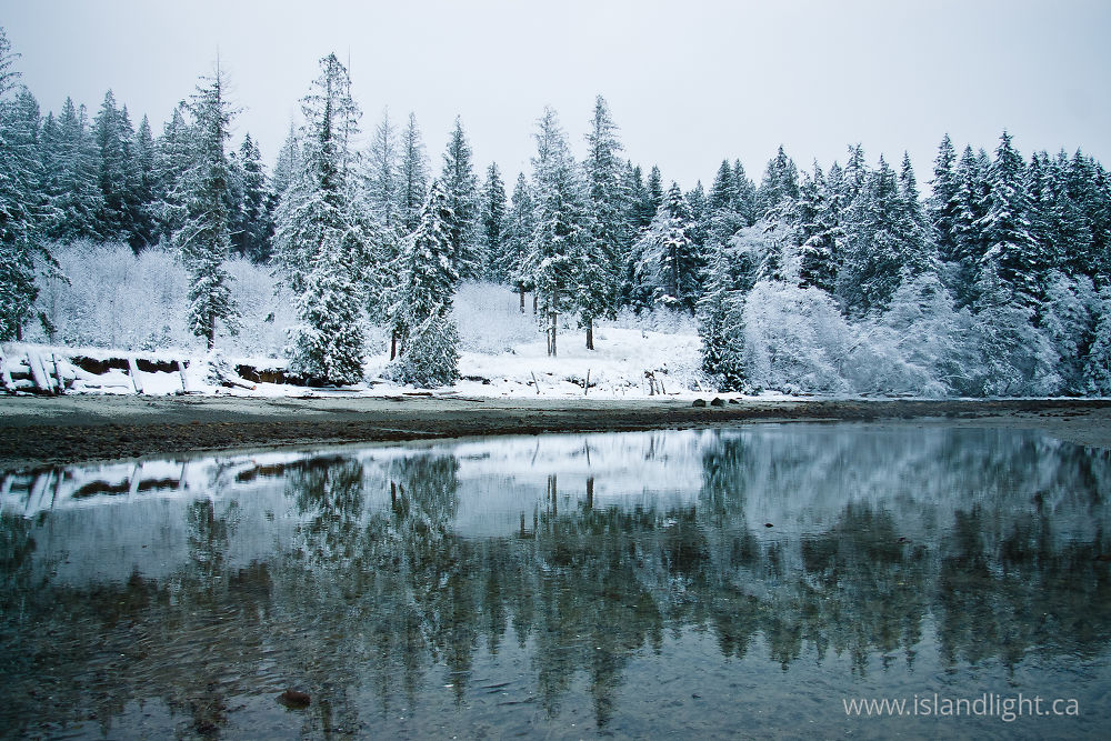 Landscape photo from Smelt Bay Cortes Island, British Columbia Canada.