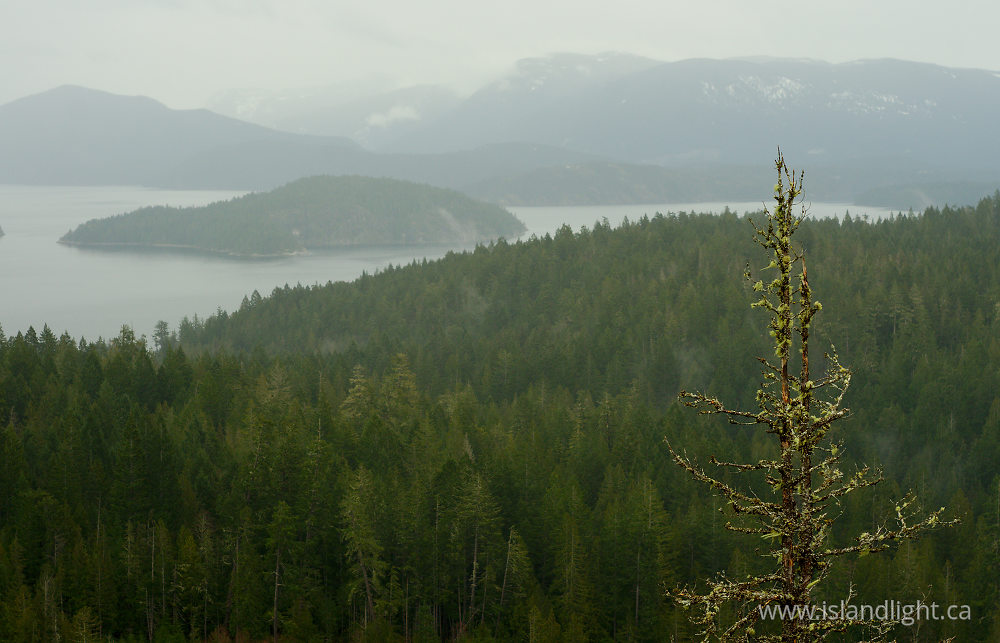 Landscape  photo from  Cortes Island, British Columbia Canada.