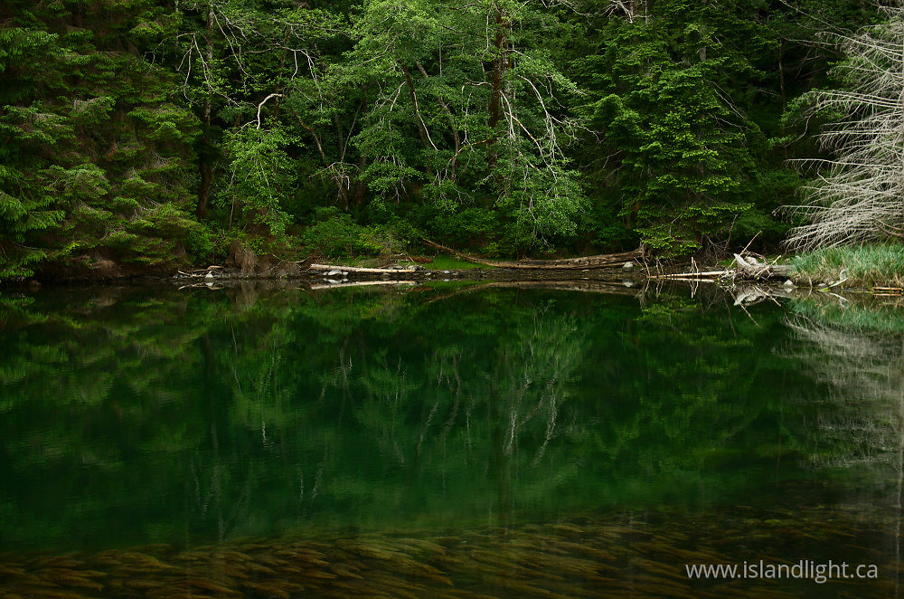 Landscape  photo from Carrington Lagoon Cortes Island, British Columbia Canada.