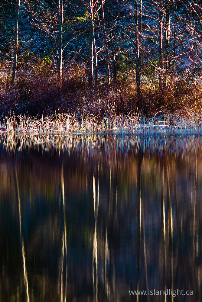 Landscape photo from Hague Lake Cortes Island, BC Canada.