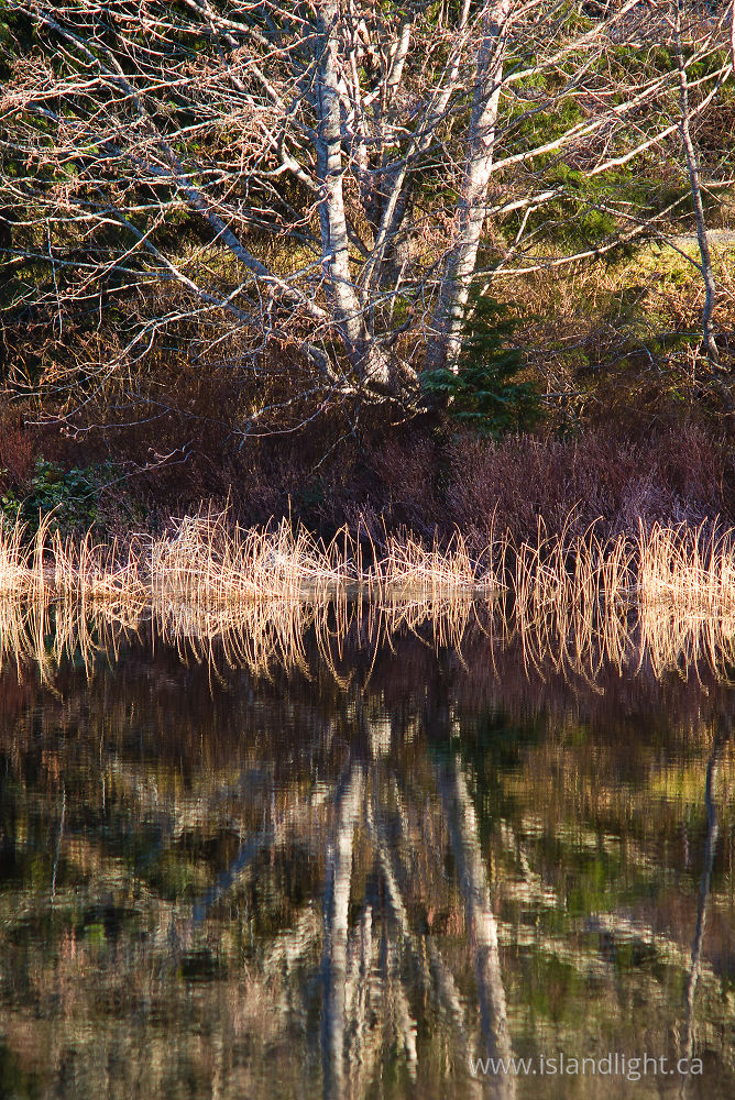 Landscape  photo from Hague Lake Cortes Island, BC Canada.