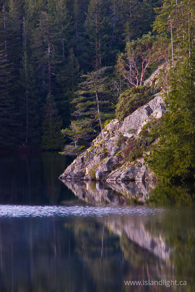 Landscape  photo from Hague Lake Cortes Island, BC Canada.