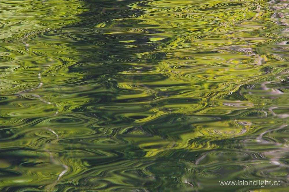Reflection photo from  Cortes Island, BC Canada.