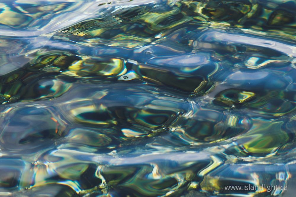 Reflection photo from  Cortes Island, BC Canada.