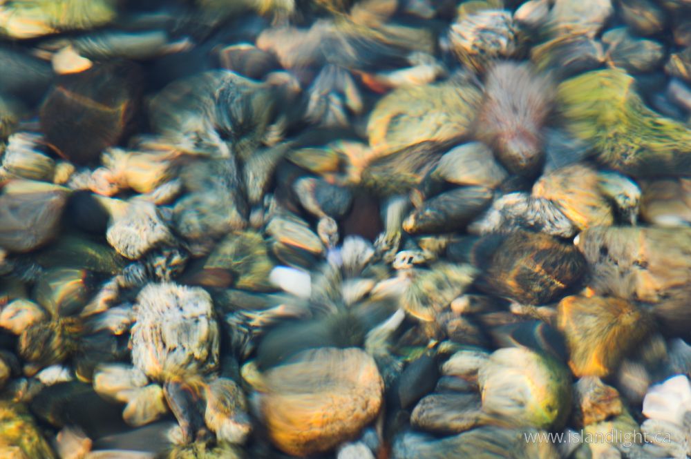 Reflection photo from  Cortes Island, BC Canada.