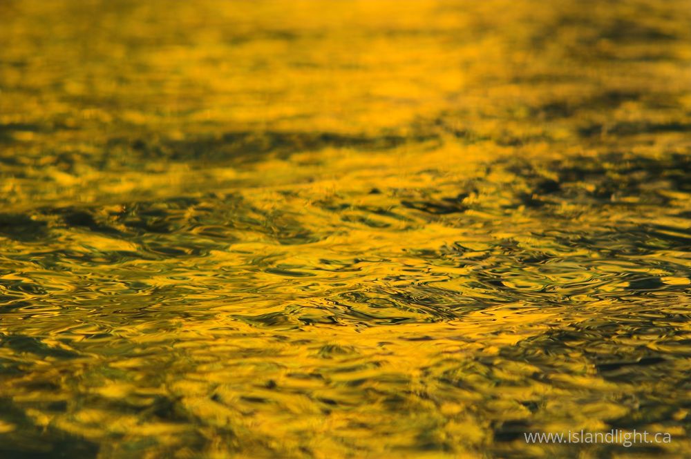 Reflection photo from  Cortes Island, BC Canada.