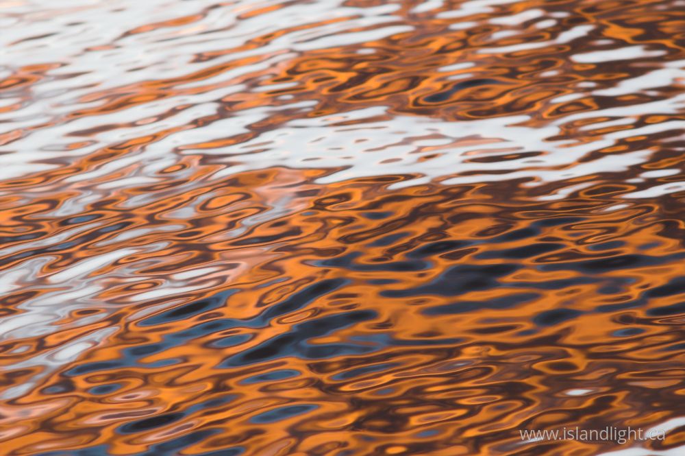 Reflection photo from  Cortes Island, BC Canada.