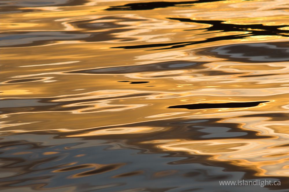 Reflection photo from  Cortes Island, BC Canada.