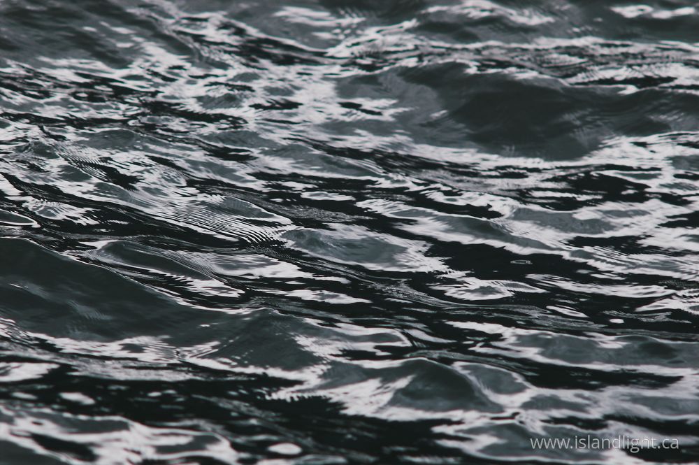 Reflection photo from  Cortes Island, BC Canada.