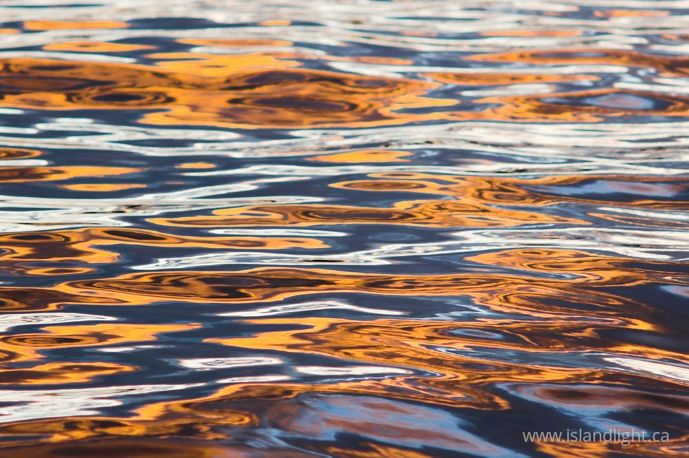 Reflection photo from  Cortes Island, BC Canada.