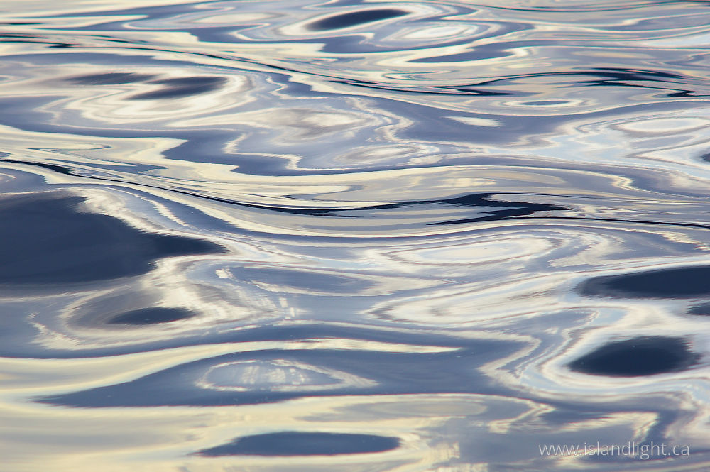 Reflection photo from  Cortes Island, BC Canada.