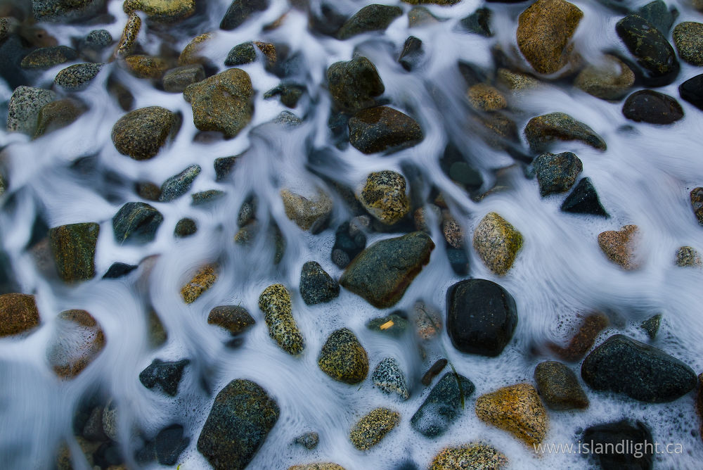 other photo from  Cortes Island, BC Canada.