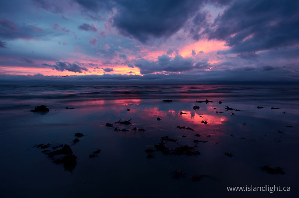 Seascape  photo from Smelt Bay Cortes Island, British Columbia Canada.
