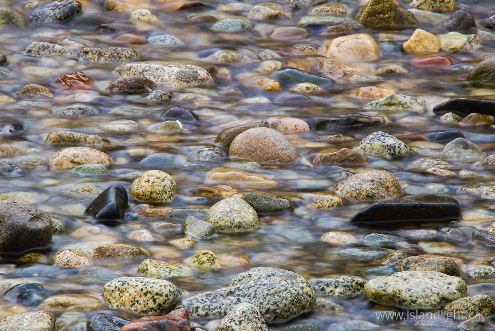 Other photo from  Cortes Island, BC Canada.