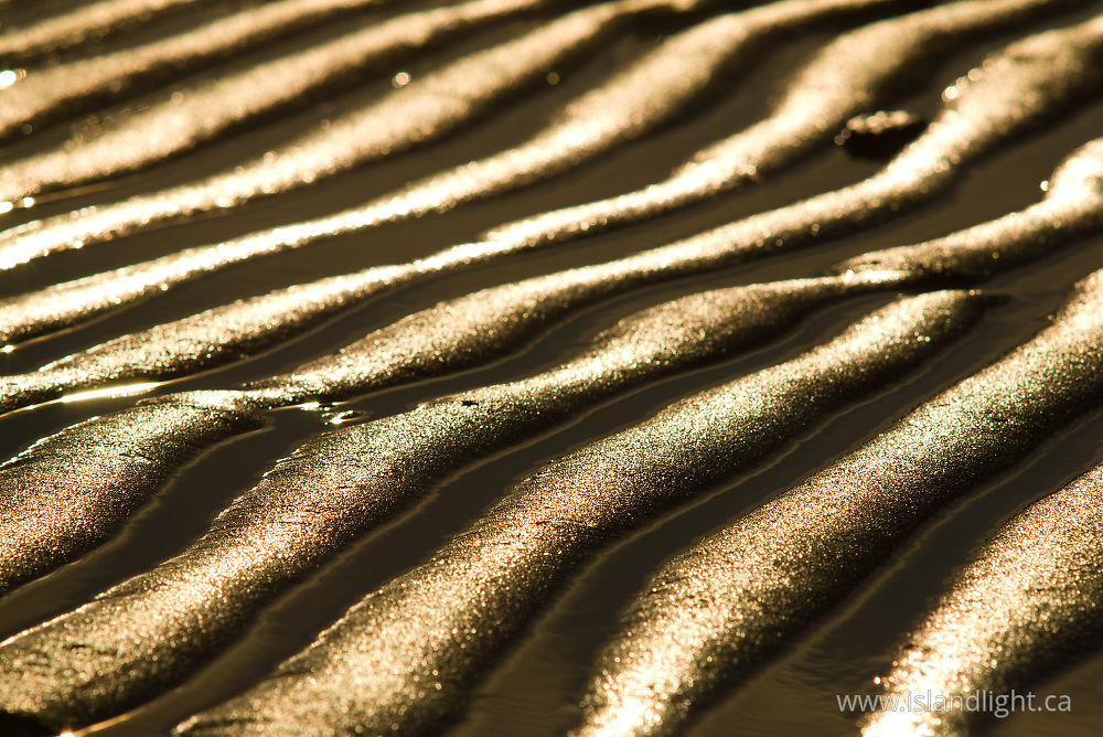 Landscape photo from  Cortes Island, BC Canada.