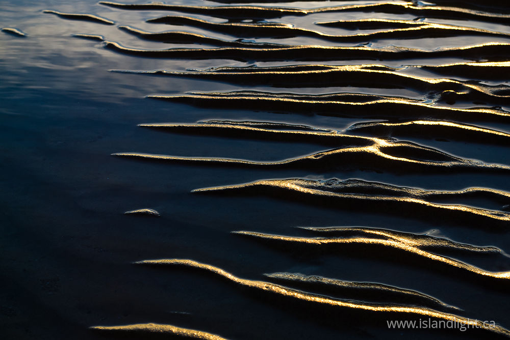 Seascape  photo from Smelt Bay Cortes Island, BC Canada.