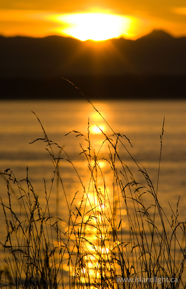 Seascape photo from Smelt Bay Cortes Island, BC Canada.