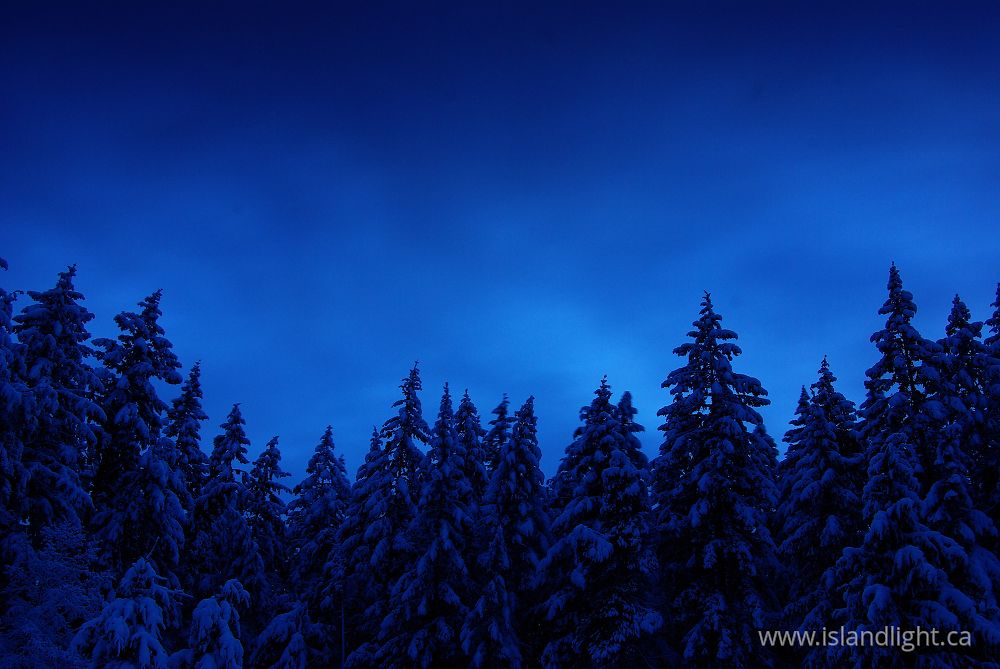 Landscape photo from  Cortes Island, BC Canada.