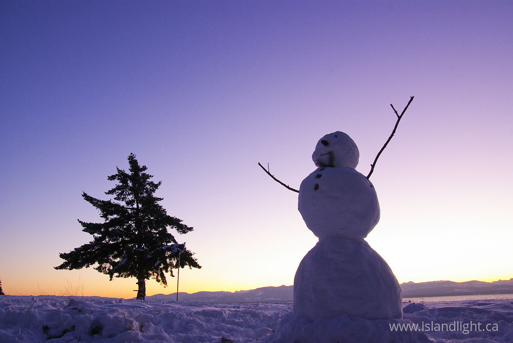 Other photo from  Cortes Island, BC Canada.
