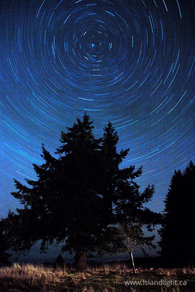 Landscape photo from Smelt Bay Cortes Island, BC Canada.