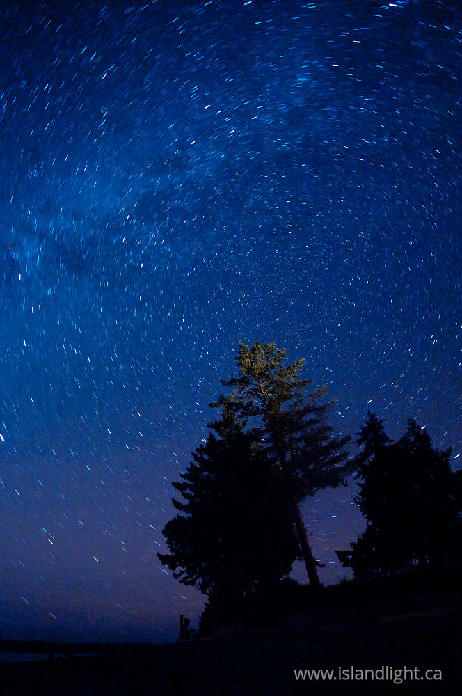 Landscape  photo from Smelt Bay Cortes Island, BC Canada.