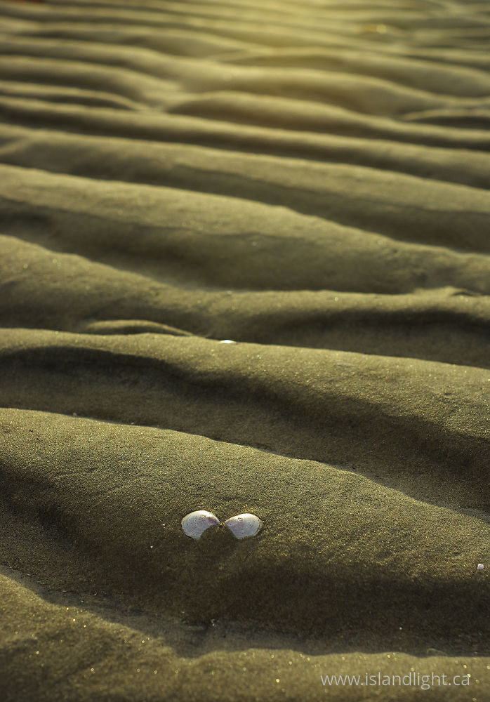 Landscape  photo from Smelt Bay Cortes Island, BC Canada.