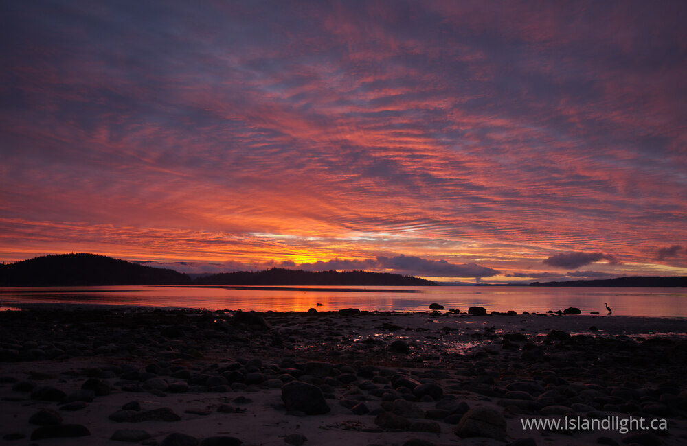 Landscape  photo from  Cortes Island, British Columbia Canada.
