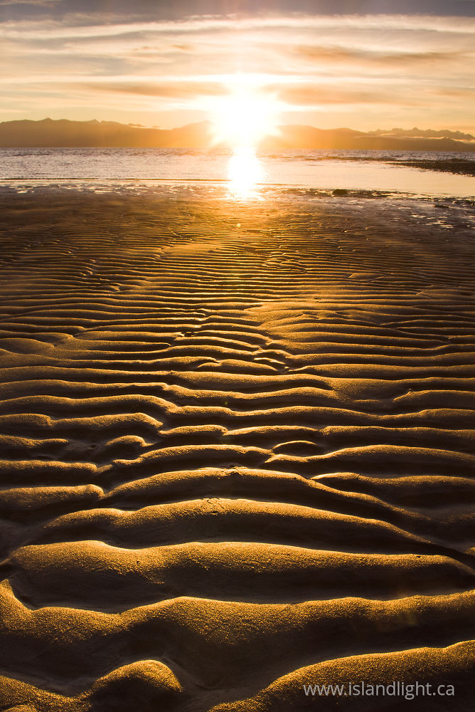 Landscape  photo from Smelt Bay Cortes Island, BC Canada.