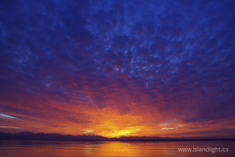 Landscape  photo from  Cortes Island, BC Canada.