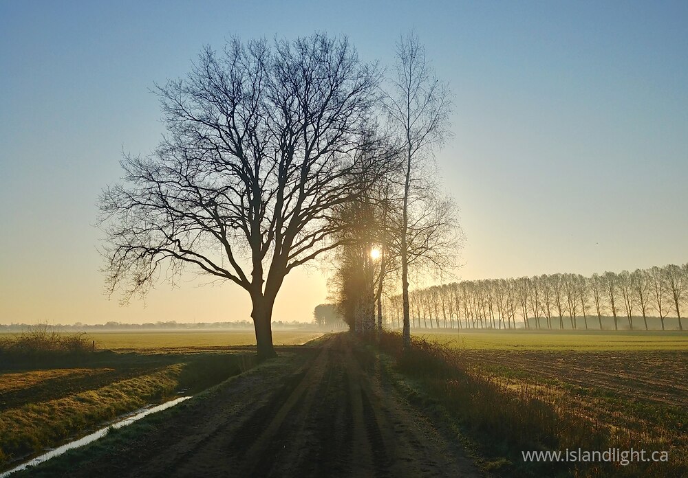 Landscape  photo from  Den Ham, Overijssel Netherlands.