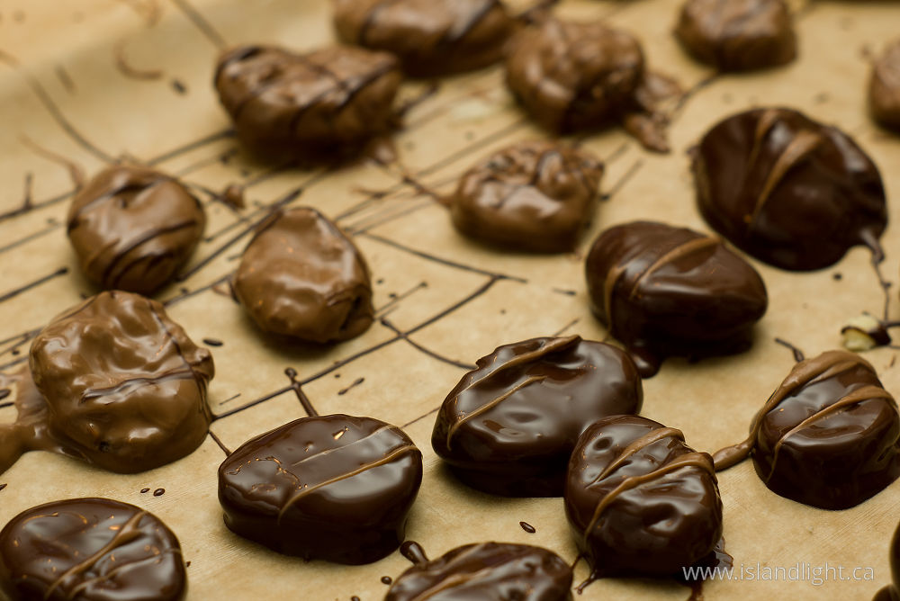 Food photo from  Cortes Island, BC Canada.