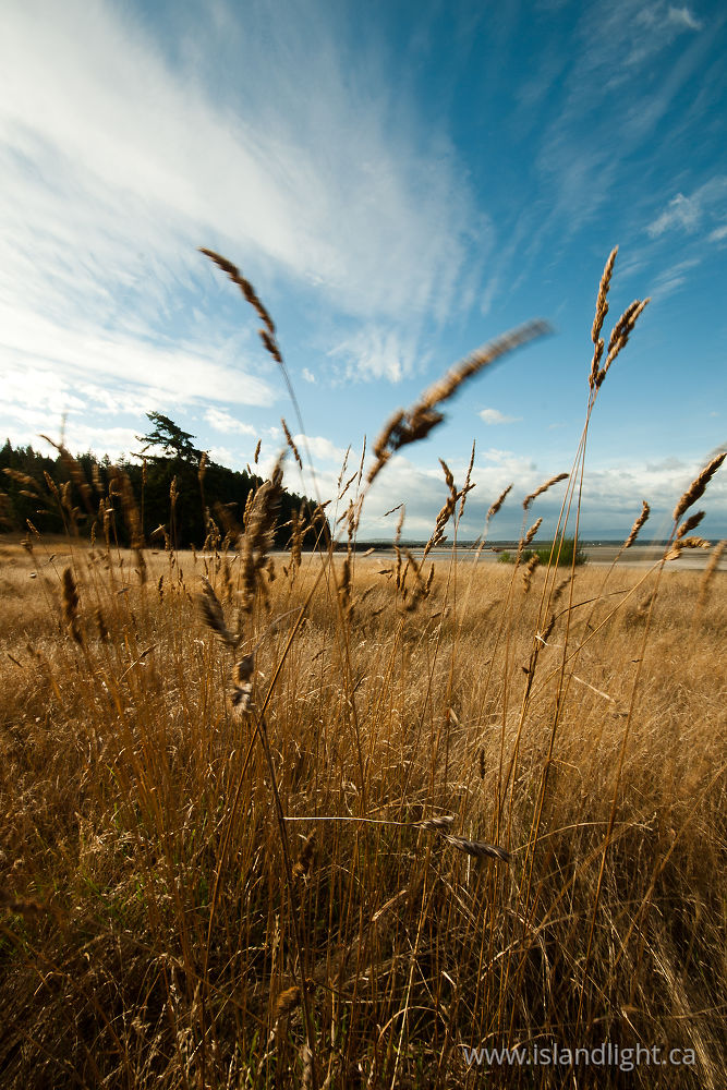 Landscape  photo from  Cortes Island, British Columbia Canada.